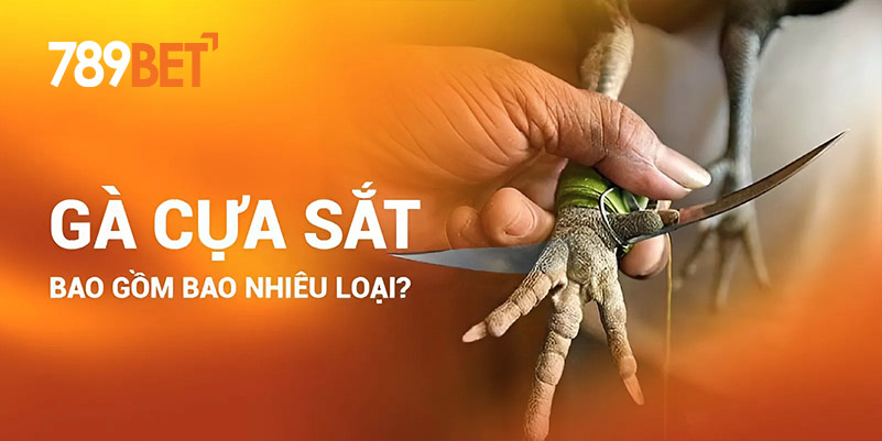 Gà cựa sắt bao gồm bao nhiêu loại? Gà cựa sắt bao gồm bao nhiêu loại?
